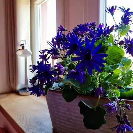 Semesterbostad Glaadter Huette