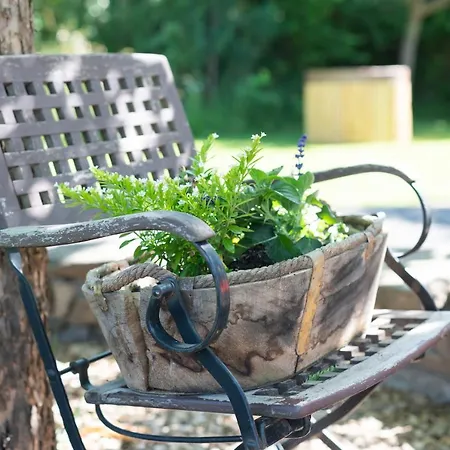 Glaadter Huette * Junkerath