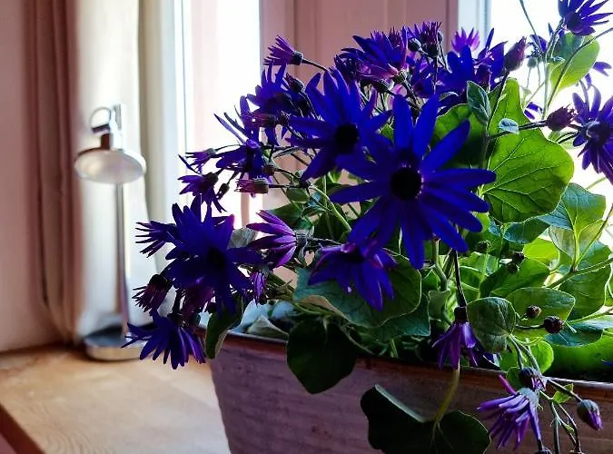 度假居 Glaadter Huette