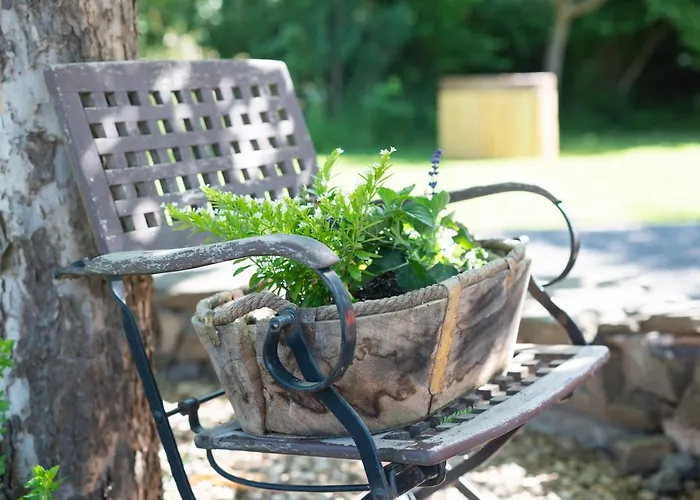 Glaadter Huette * Junkerath